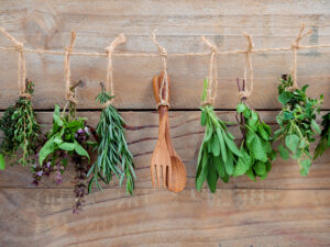 Blüten- und Kräuterführung