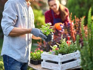 Garten & Außenbereich